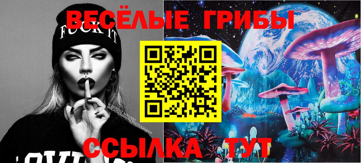 Дивногорск  Галлюциногенные грибы Cubensis  Галлюциногенные грибы мухоморы  купить наркоту  Вход с VPN 